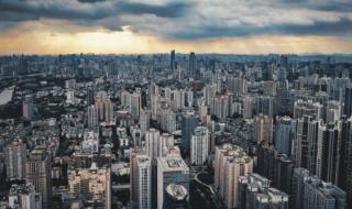 花都王子山森林公园 花都王子山森林公园