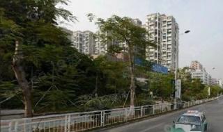 坂田汽车站 坂田汽车站