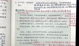 祖父的园子段意是什么 祖父的园子课堂笔记